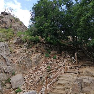 Alpine ibex & alpine chamois walkthrough exhibit