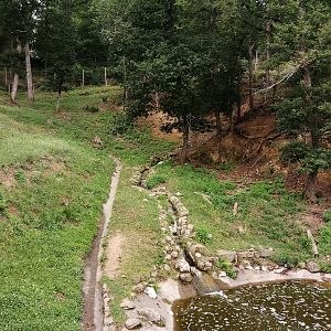 Asian black bear exhibit