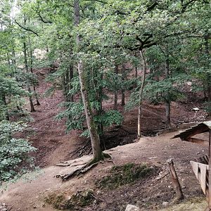 Takin valley with 3 subspecies