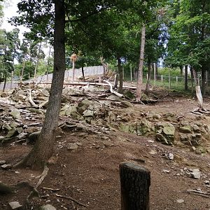 Takin valley with 3 subspecies