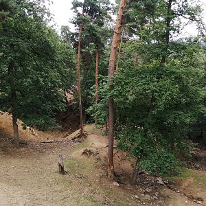 Takin valley with 3 subspecies