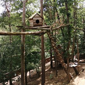 Red panda and Michie tufted deer exhibit