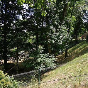 Binturong & Prevost's squirrel exhibit