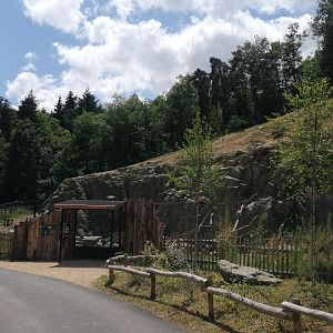 Barbary macaque exhibit