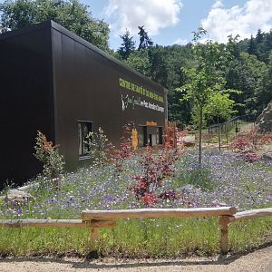 New Veterinary Clinic