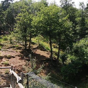 Snow leopard exhibit