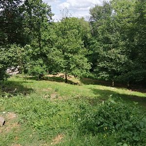 Sudan cheetah exhibit