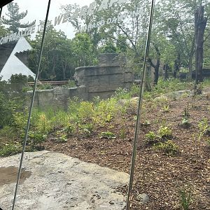 Large Viewing Window Upon Exiting the Pavilion