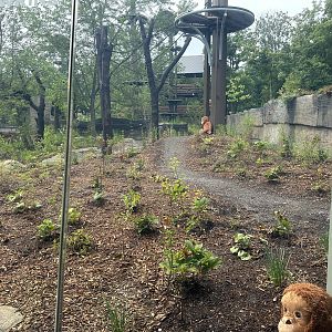 Large Viewing Window Upon Exiting the Pavilion