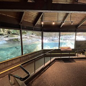 River Otter Exhibit