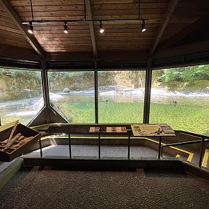 Beaver + Waterfowl Exhibit