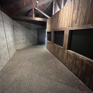 Ex-Ringtail Exhibit - now closed