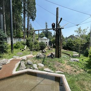California Condor Aviary