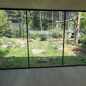 California Condor Aviary