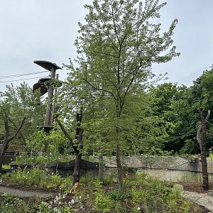 Another angle of the exhibit with no glass viewing