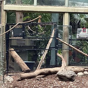 Cage in Gibbons Exhibit