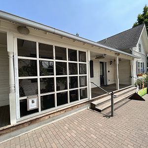 Western Screech Owl Exhibit