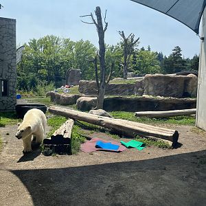 Polar Passage - New in 2021