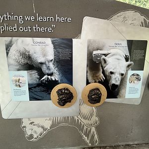 Polar Passage - New in 2021