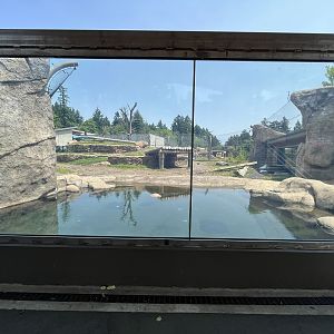 Polar Passage - New in 2021