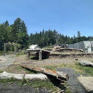 Polar Passage - New in 2021