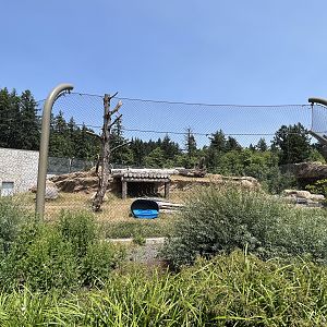 Polar Passage - New in 2021