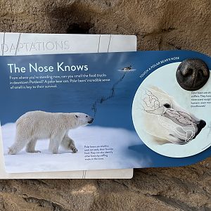 Polar Passage - New in 2021