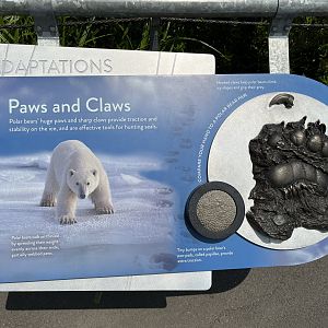 Polar Passage - New in 2021