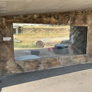 Polar Passage - New in 2021