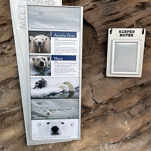 Polar Passage - New in 2021