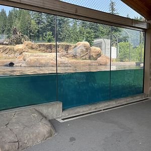 Polar Passage - New in 2021