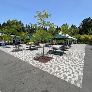 New Plaza (next to Polar Passage)