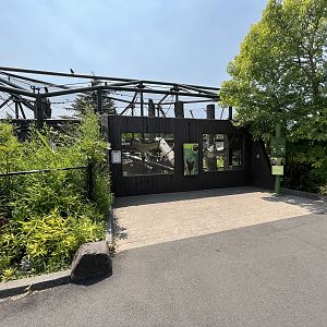 Orangutan/Gibbon Exhibit