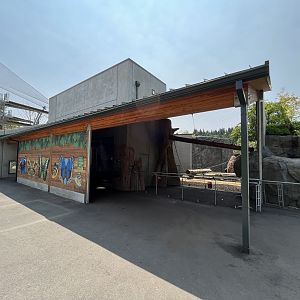 Chimpanzee Exhibit - New in 2021