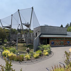 Chimpanzee Exhibit - New in 2021