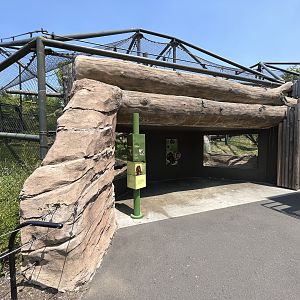 Orangutan/Gibbon Exhibit