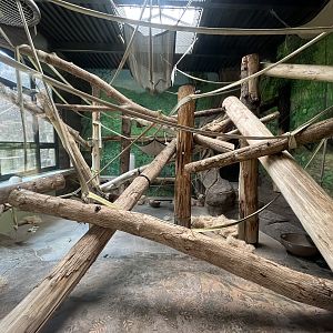 Orangutan/Gibbon Exhibit