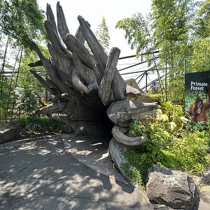 Orangutan/Gibbon Exhibit