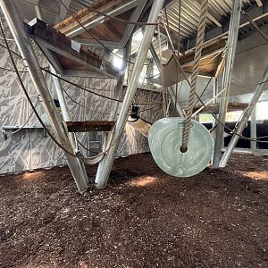 Chimpanzee Exhibit - New in 2021