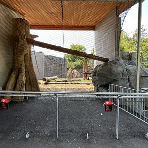 Chimpanzee Exhibit - New in 2021