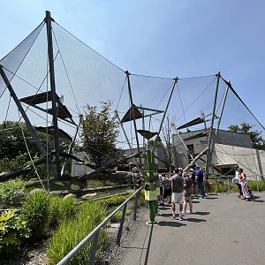 Chimpanzee Exhibit - New in 2021