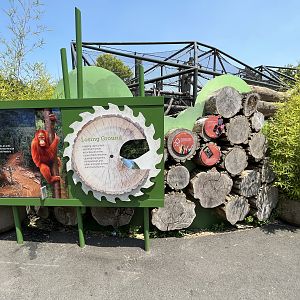 Orangutan/Gibbon Exhibit