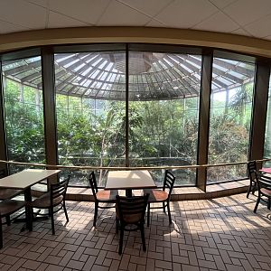 African Aviary - upper level