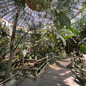 African Aviary - lower level
