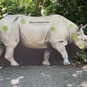 Rhino Ridge - New in 2021