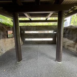 Black Rhino Exhibit - tiny viewing area