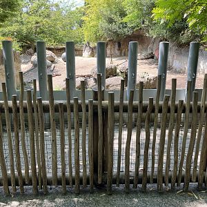 Rhino Ridge - New in 2021