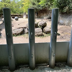 Rhino Ridge - Training Wall