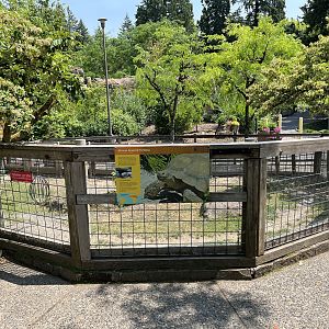 African Spurred Tortoise Exhibit