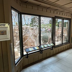 African Savanna Aviary (6 Species)